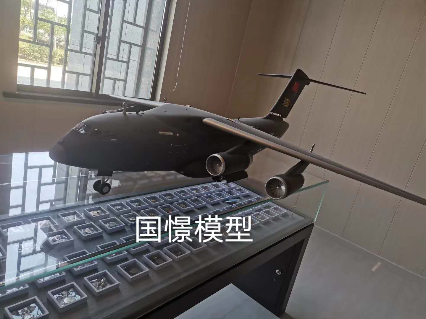 天峻县飞机模型